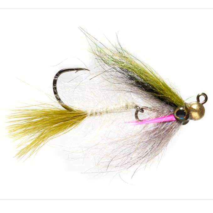 Phillips&#39; Rainbow Yummy