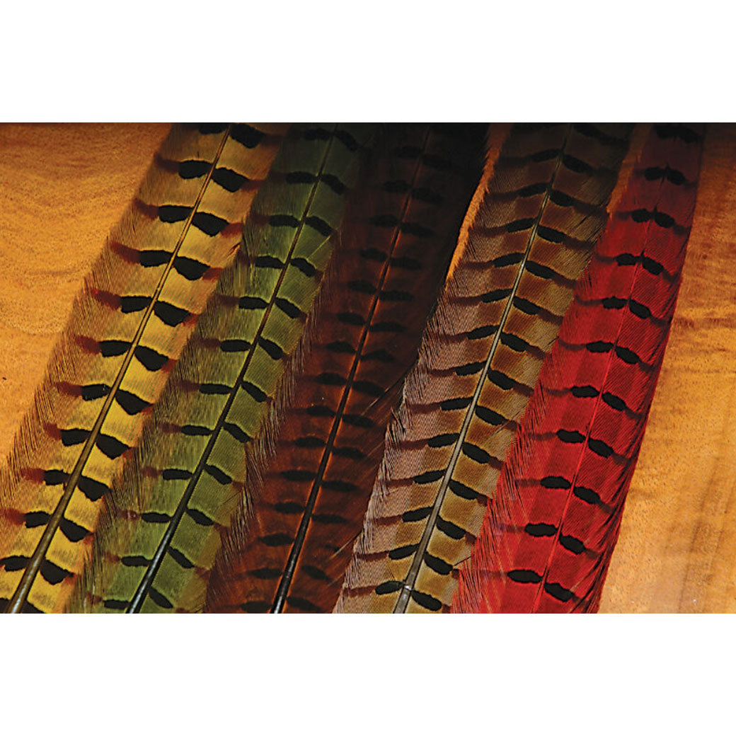Ringneck Pheasant Tail Feathers