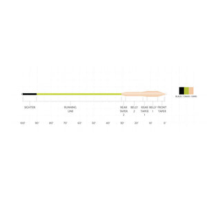 Scientific Anglers Sonar Striper Intermediate