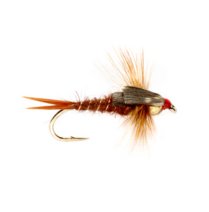 Stonefly Nymph (TBH)