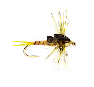 Stonefly Nymph (TBH)