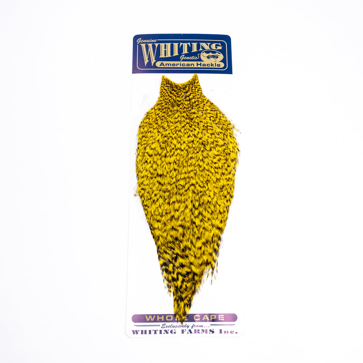 Whiting American Rooster Cape