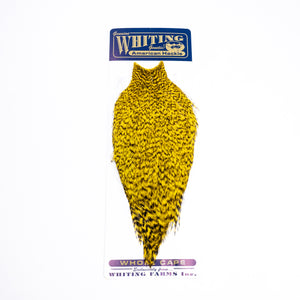 Whiting American Rooster Cape