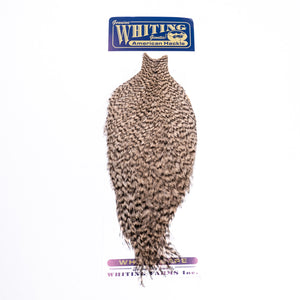Whiting American Rooster Cape