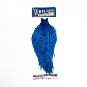 Whiting American Rooster Cape