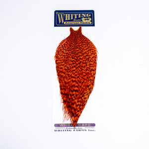 Whiting American Rooster Cape