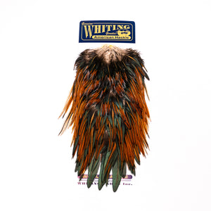 Whiting American Rooster Saddle
