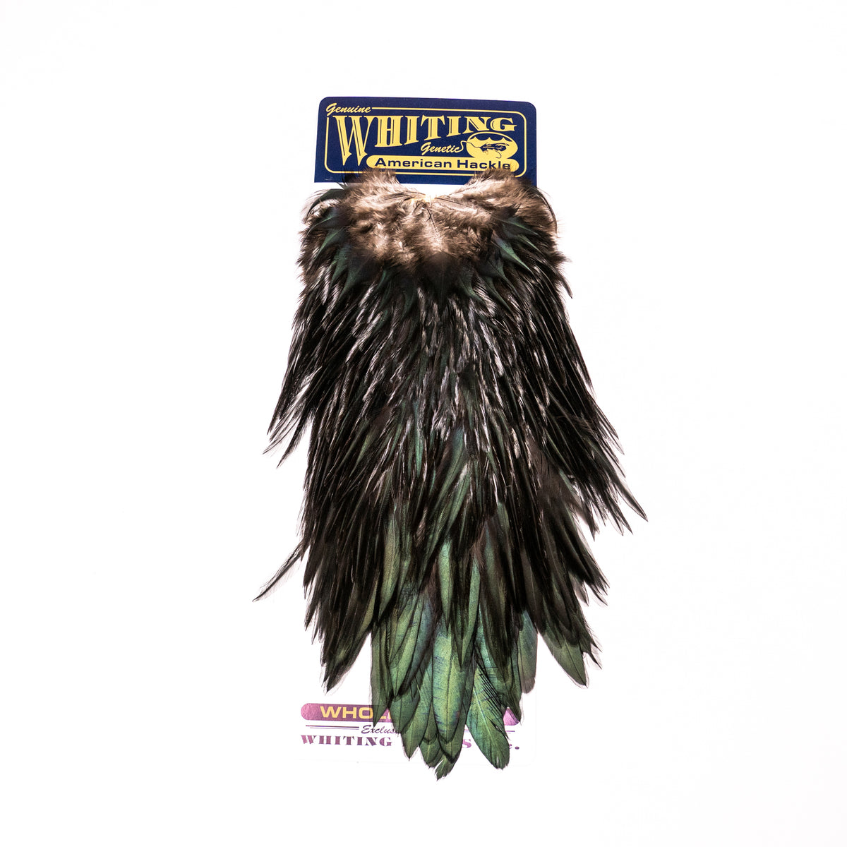 Whiting American Rooster Saddle