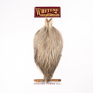 Whiting Coq de Leon Rooster Cape