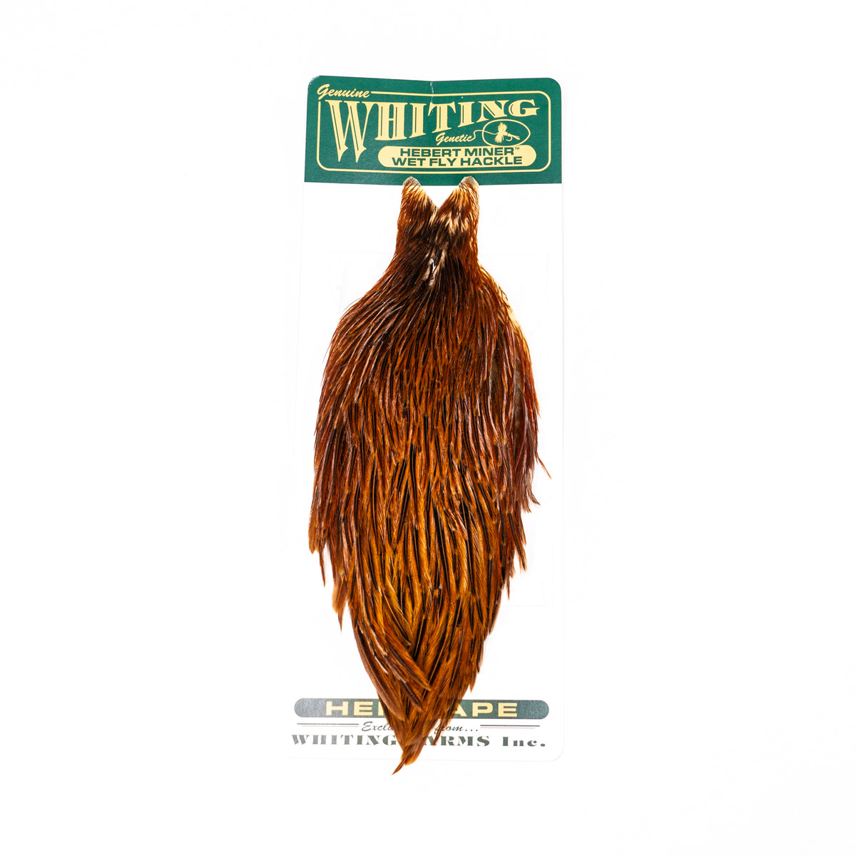 Whiting Hebert Hen Cape