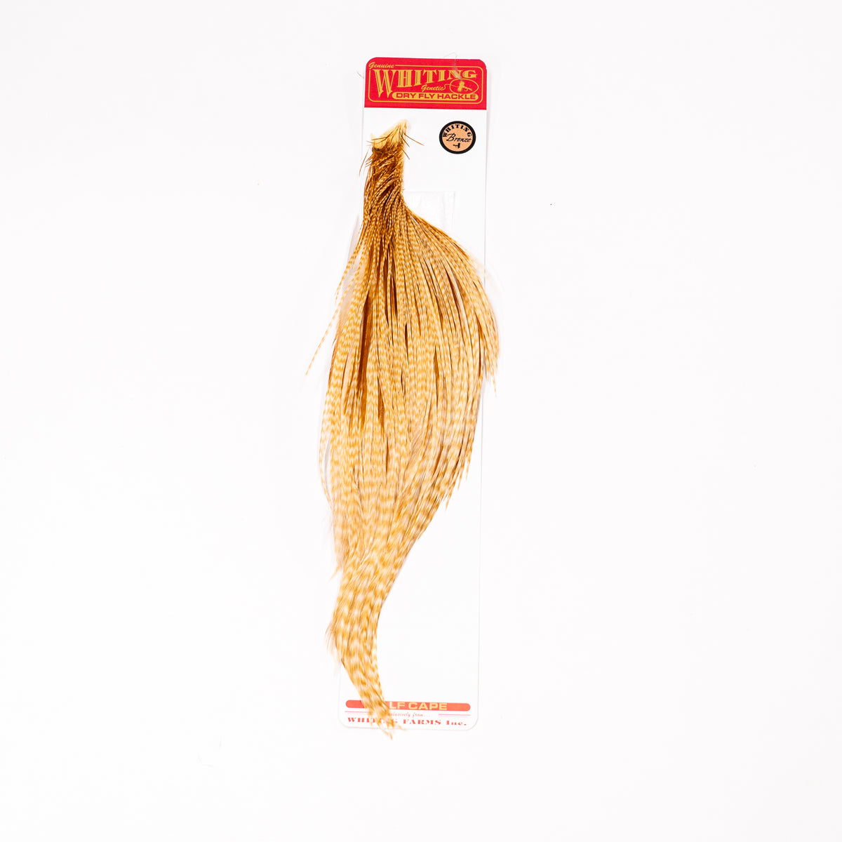 Whiting Bronze Half Cape