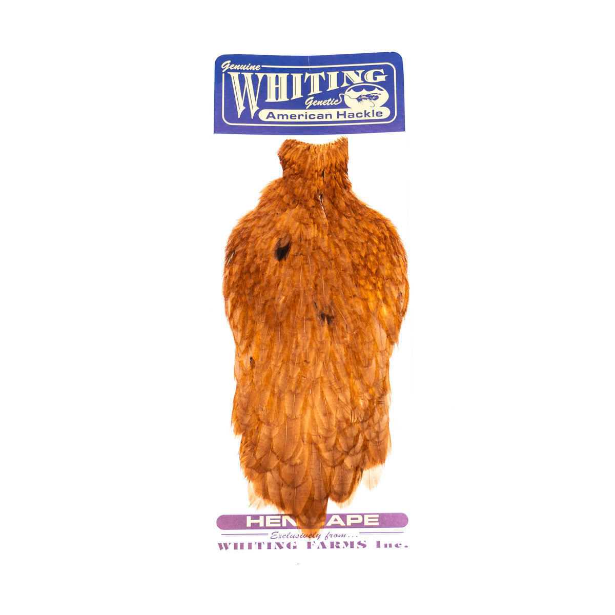 Whiting American Hen Cape