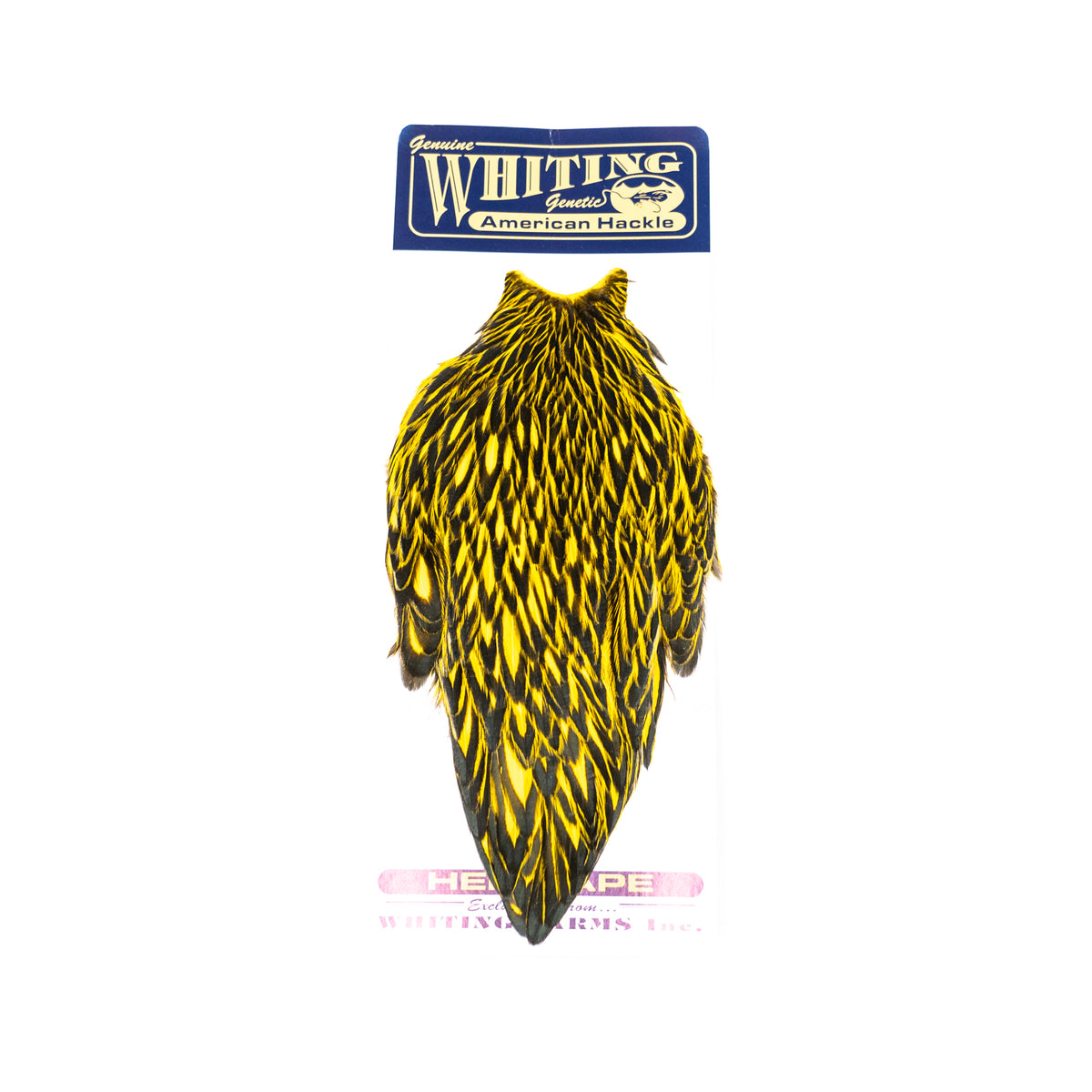 Whiting American Hen Cape