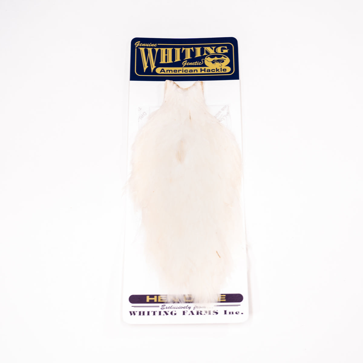 Whiting American Hen Cape