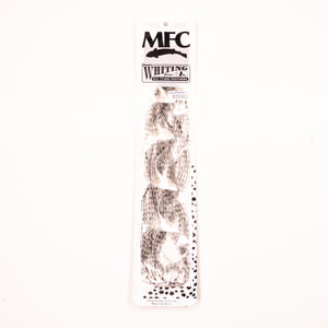 Whiting 100 Pack