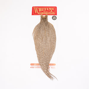 Whiting Rooster Cape Silver Grade