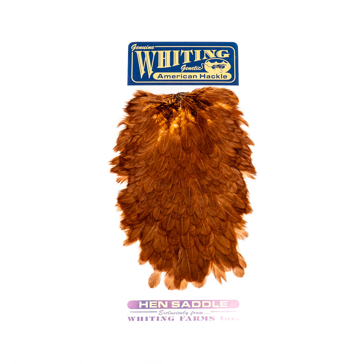 Whiting American Hen Saddle