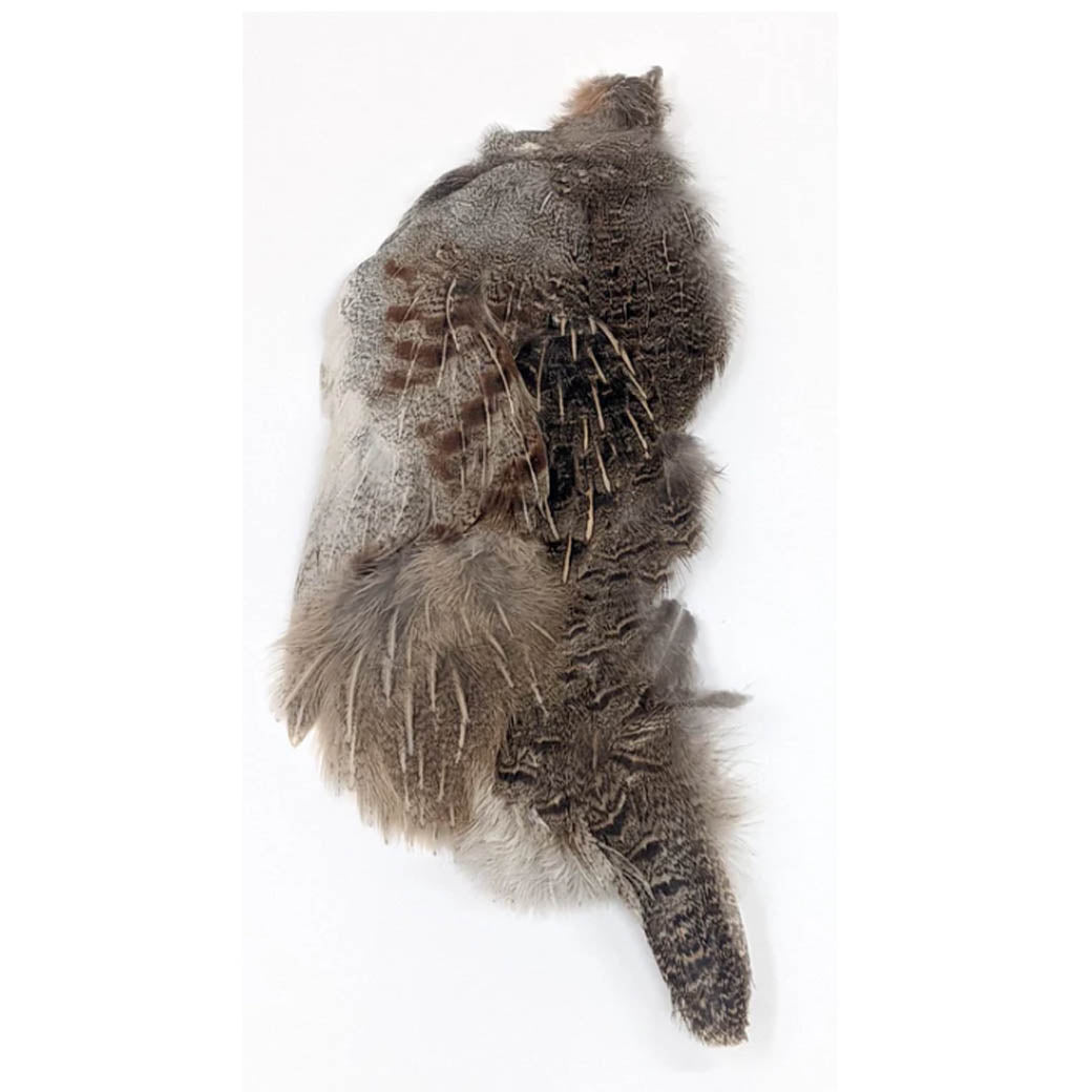 Wapsi Hungarian Partridge Half Skin Natural