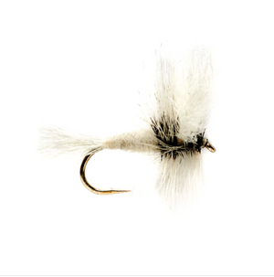 White Wulff