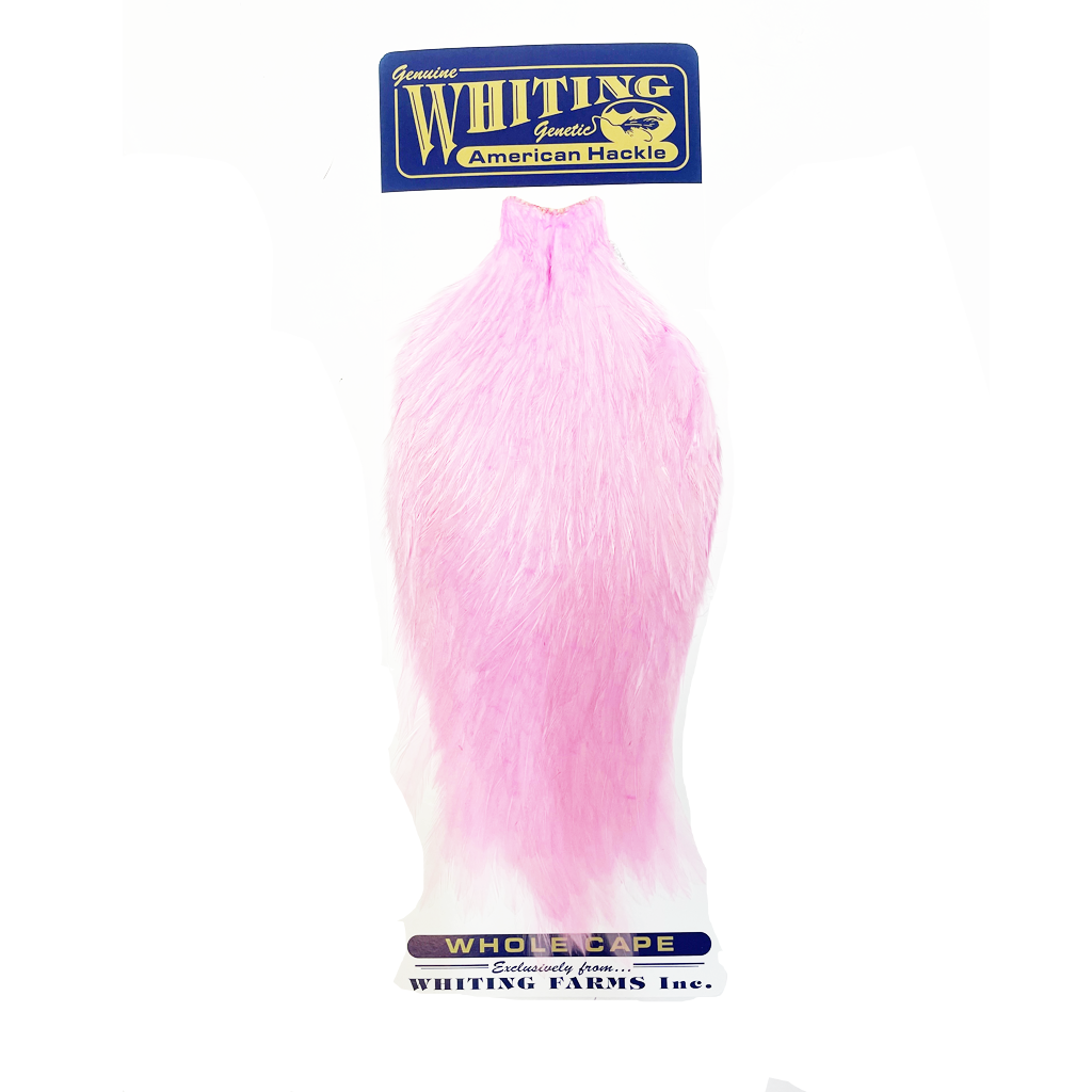 Whiting American Rooster Cape