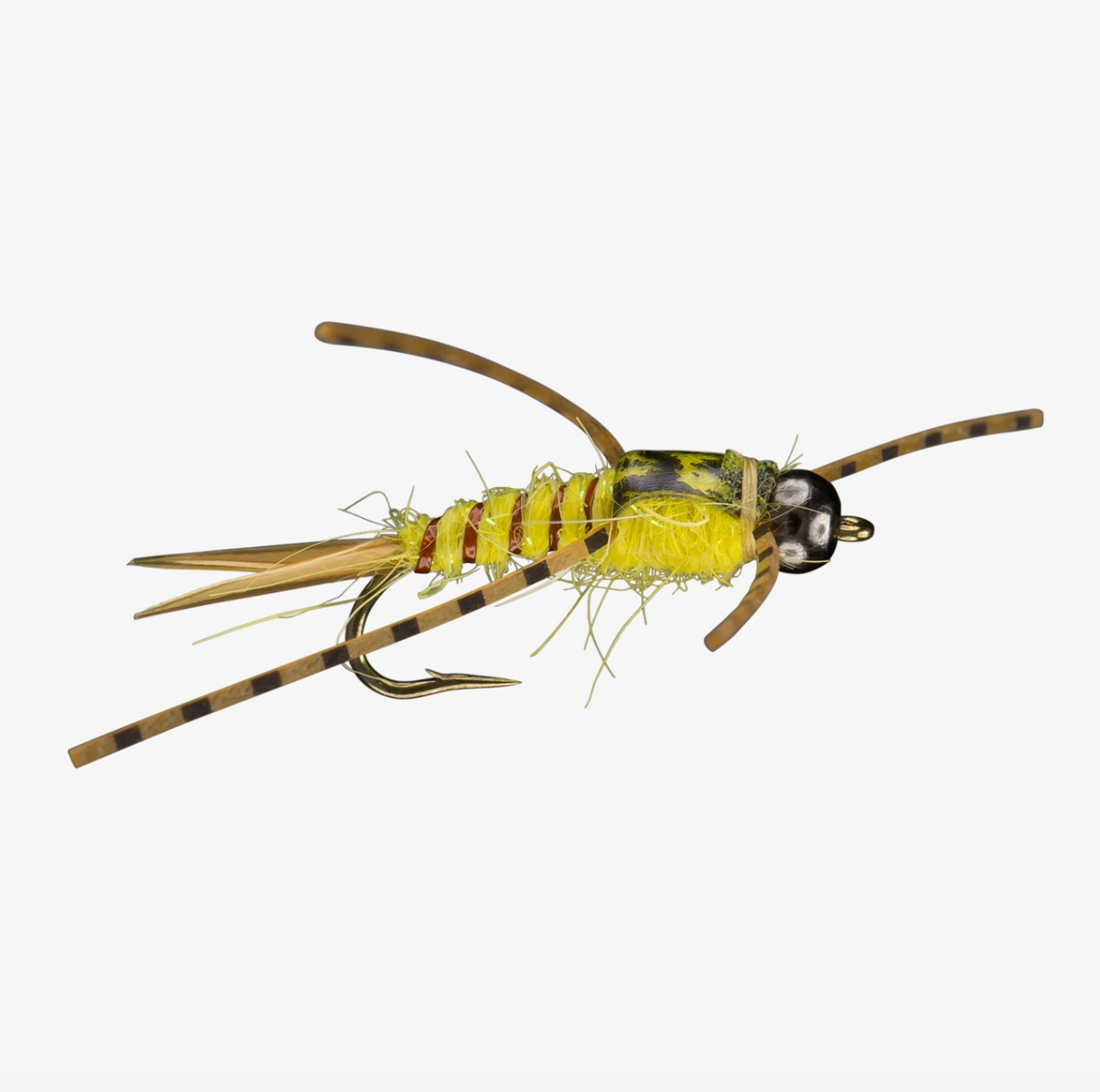 Yellow Sally Nymph