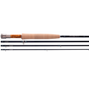 Thomas & Thomas Paradigm Fly Rod