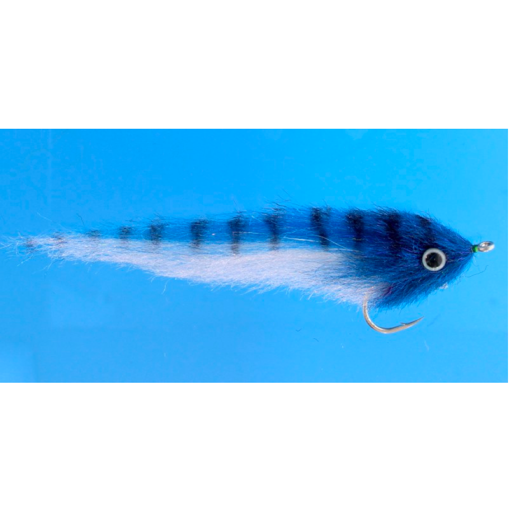 EP GT Baitfish
