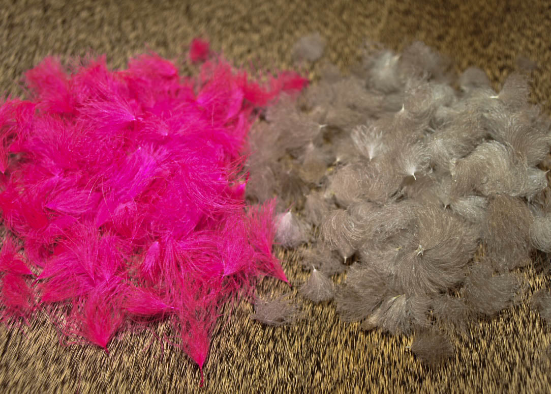 Nature&#39;s Spirit CDC Tufts