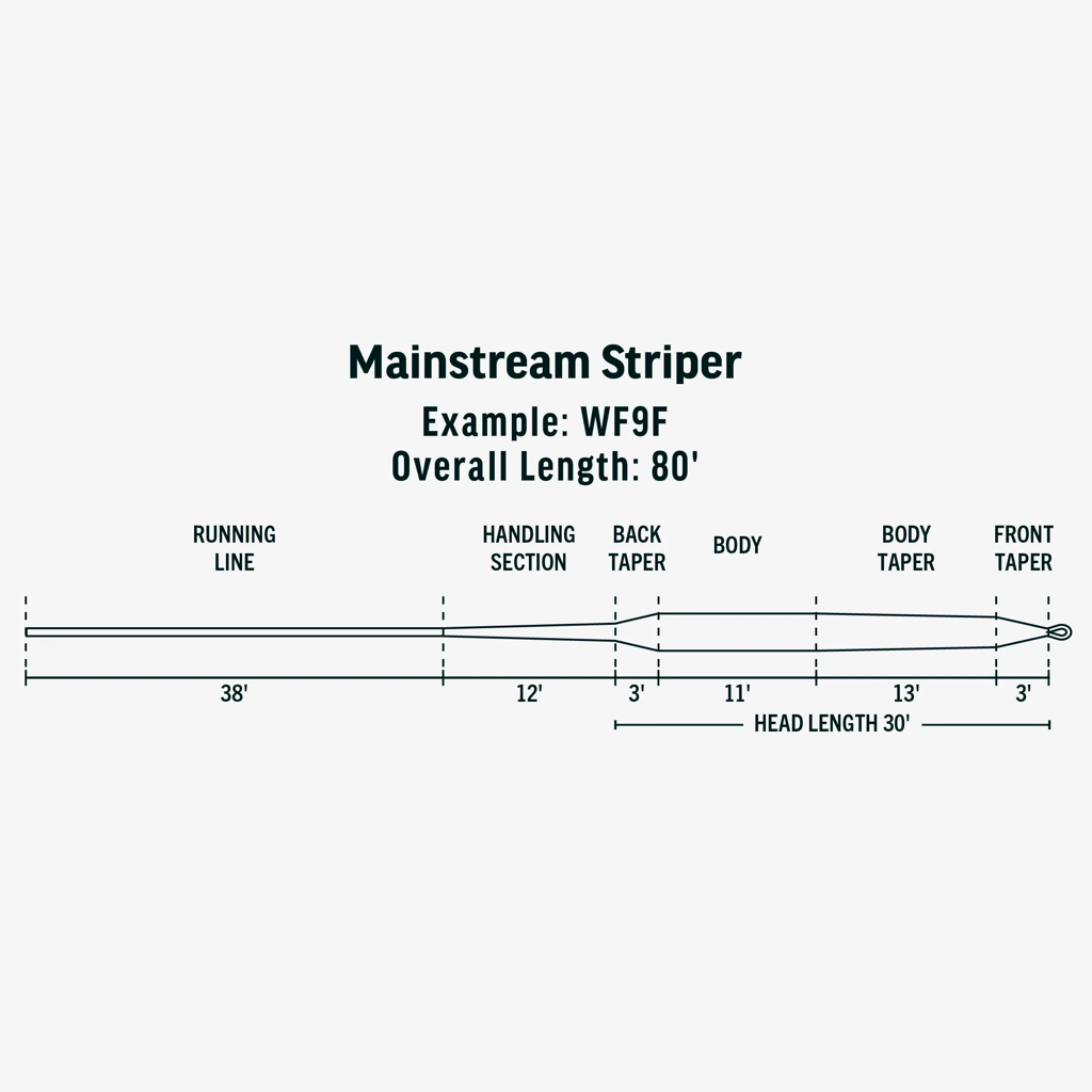 Rio Mainstream Striper Intermediate Line