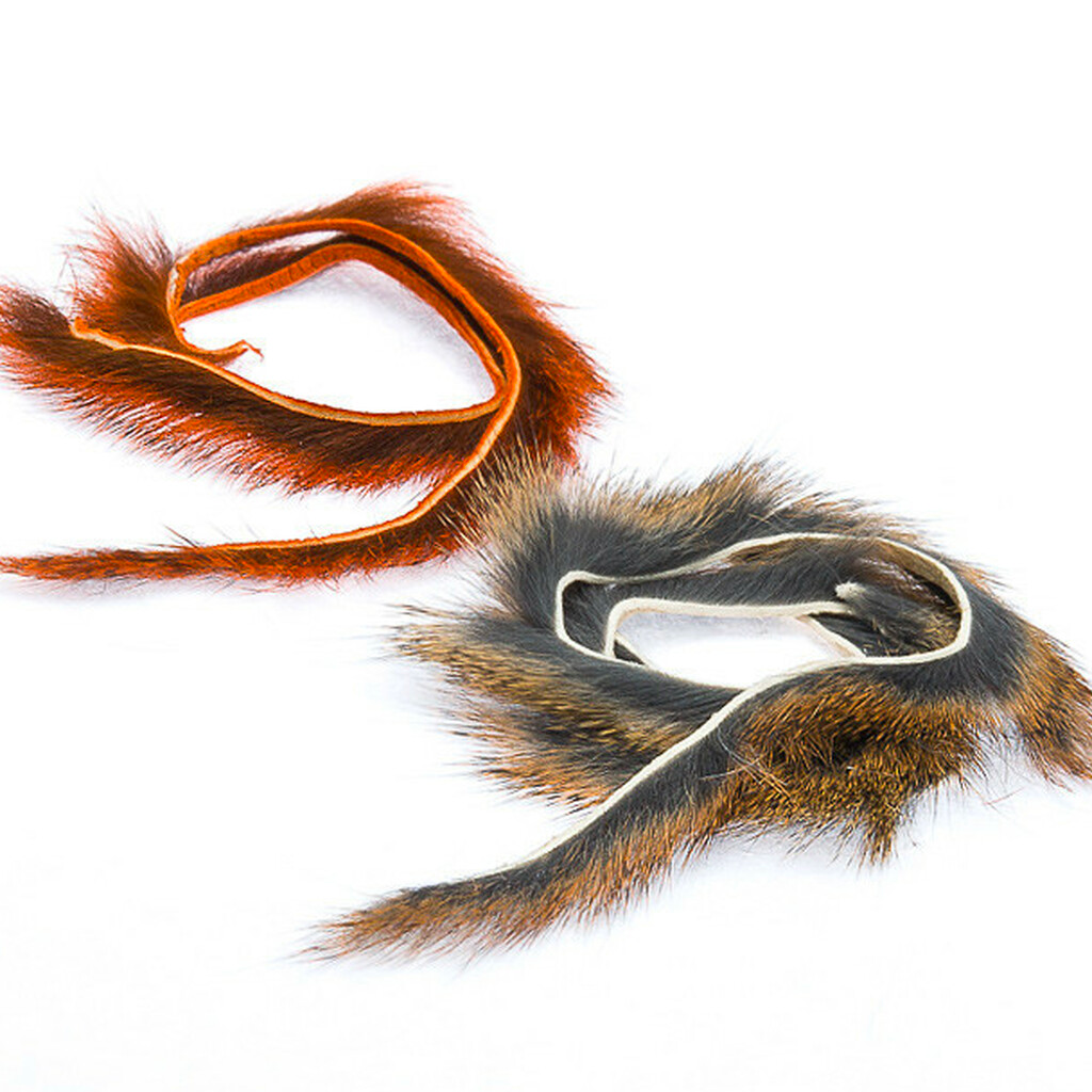 Micro Pine Squirrel Zonkers