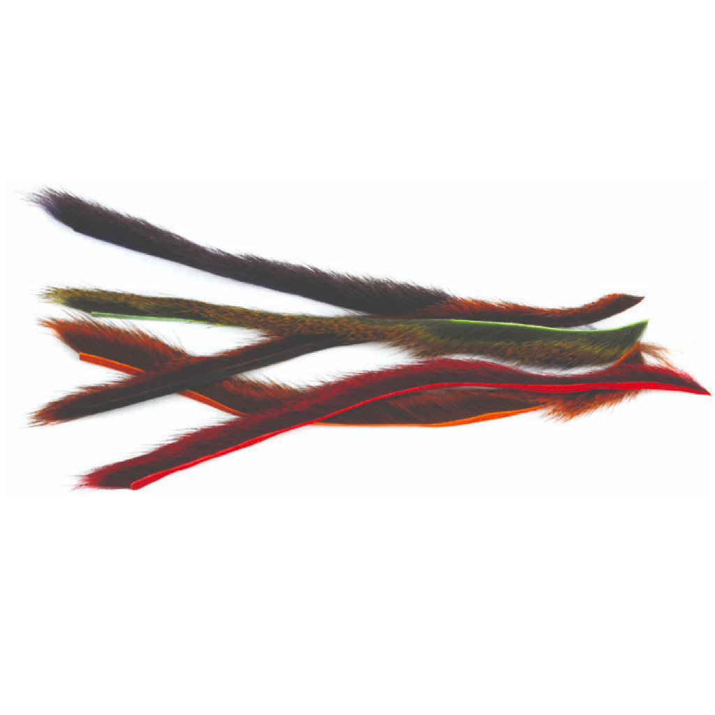 Pine Squirrel Zonkers