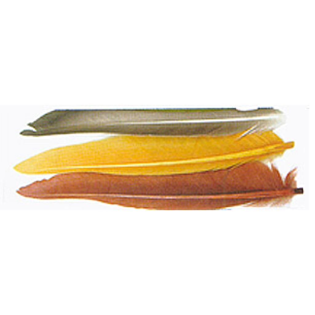 Wapsi Duck Quill (2 Pair)