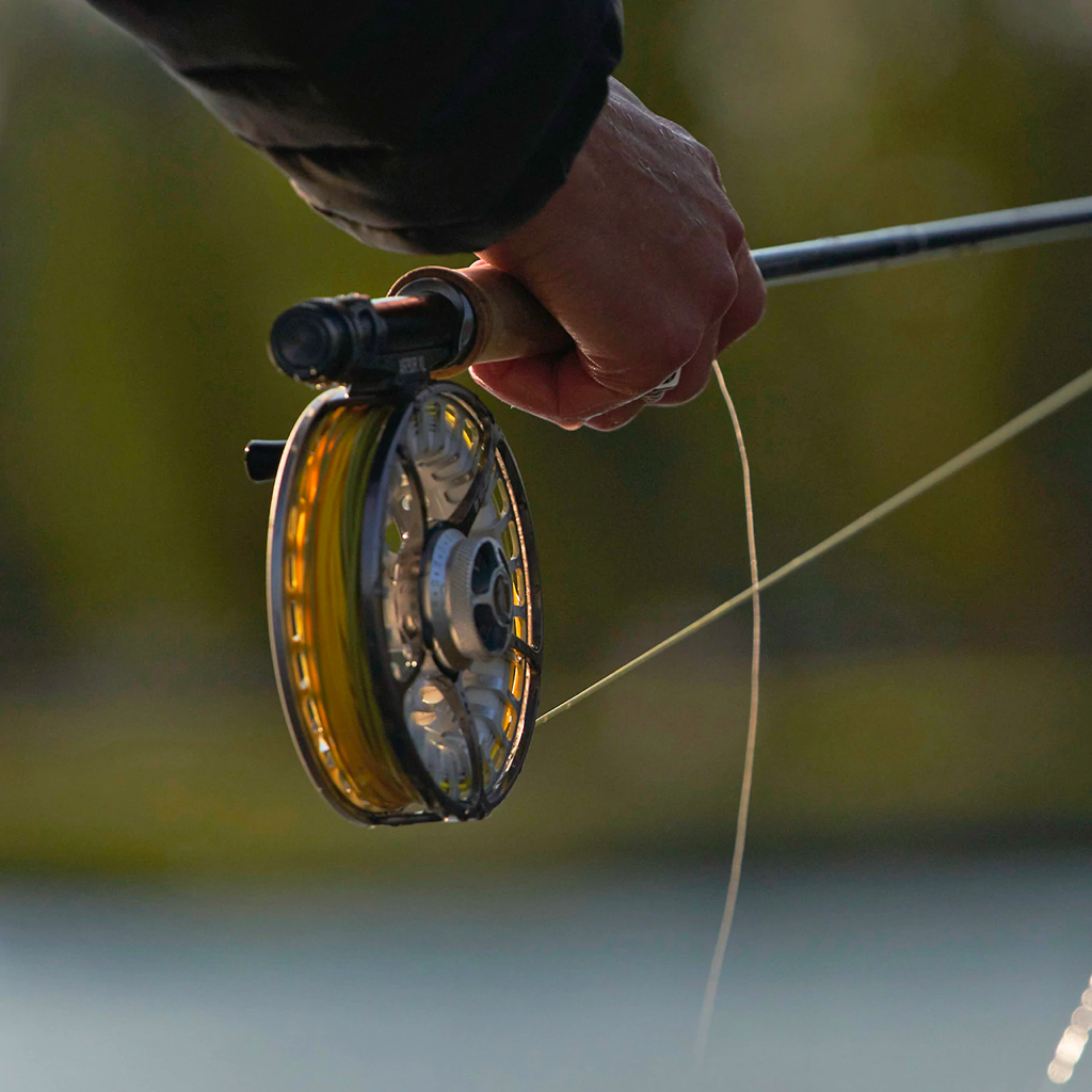 alder senior fishing reel Sage Arbor XL Fly Reel 6/7/8 / Slate
