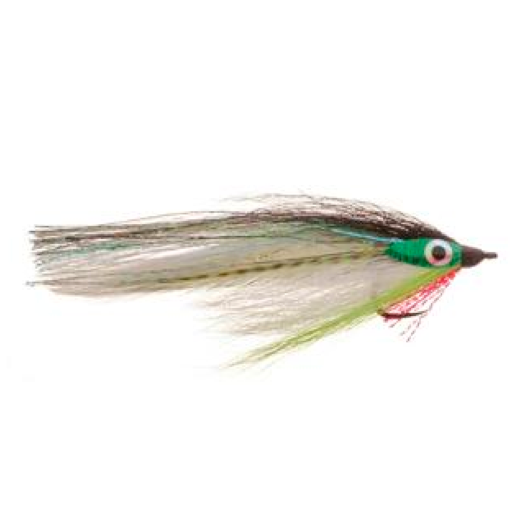 Big Eye Baitfish