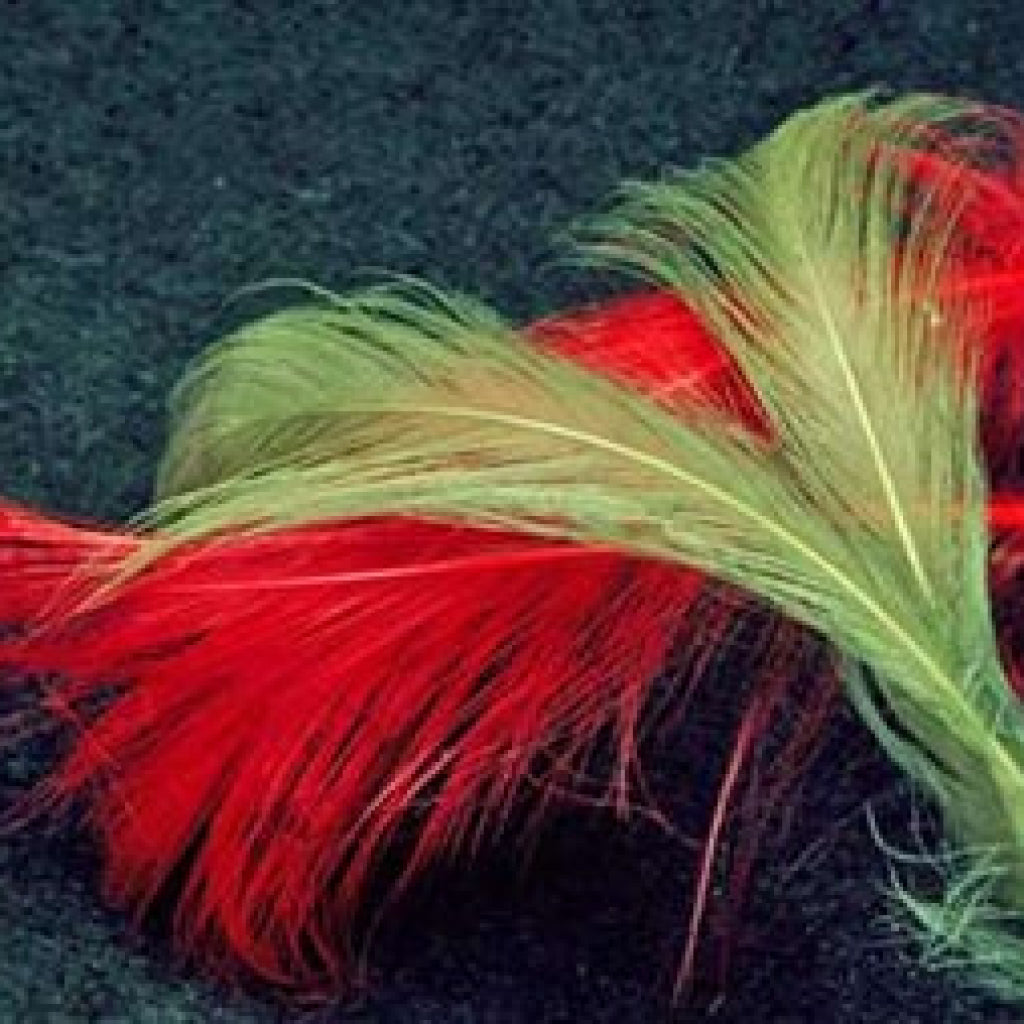 Cascade Spey Hackle