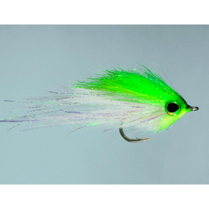 Rainy's Hamilton's Bush Pig Fly