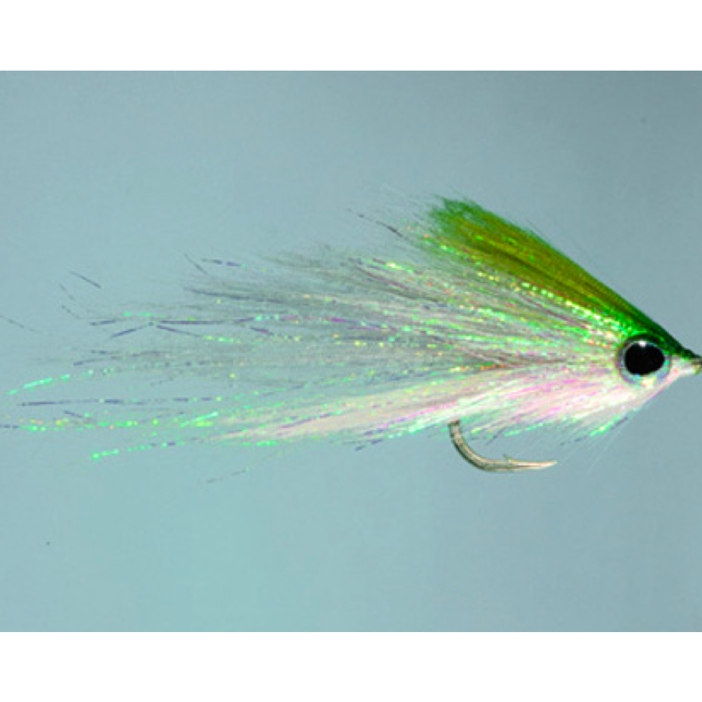 Rainy&#39;s Hamilton&#39;s Bush Pig