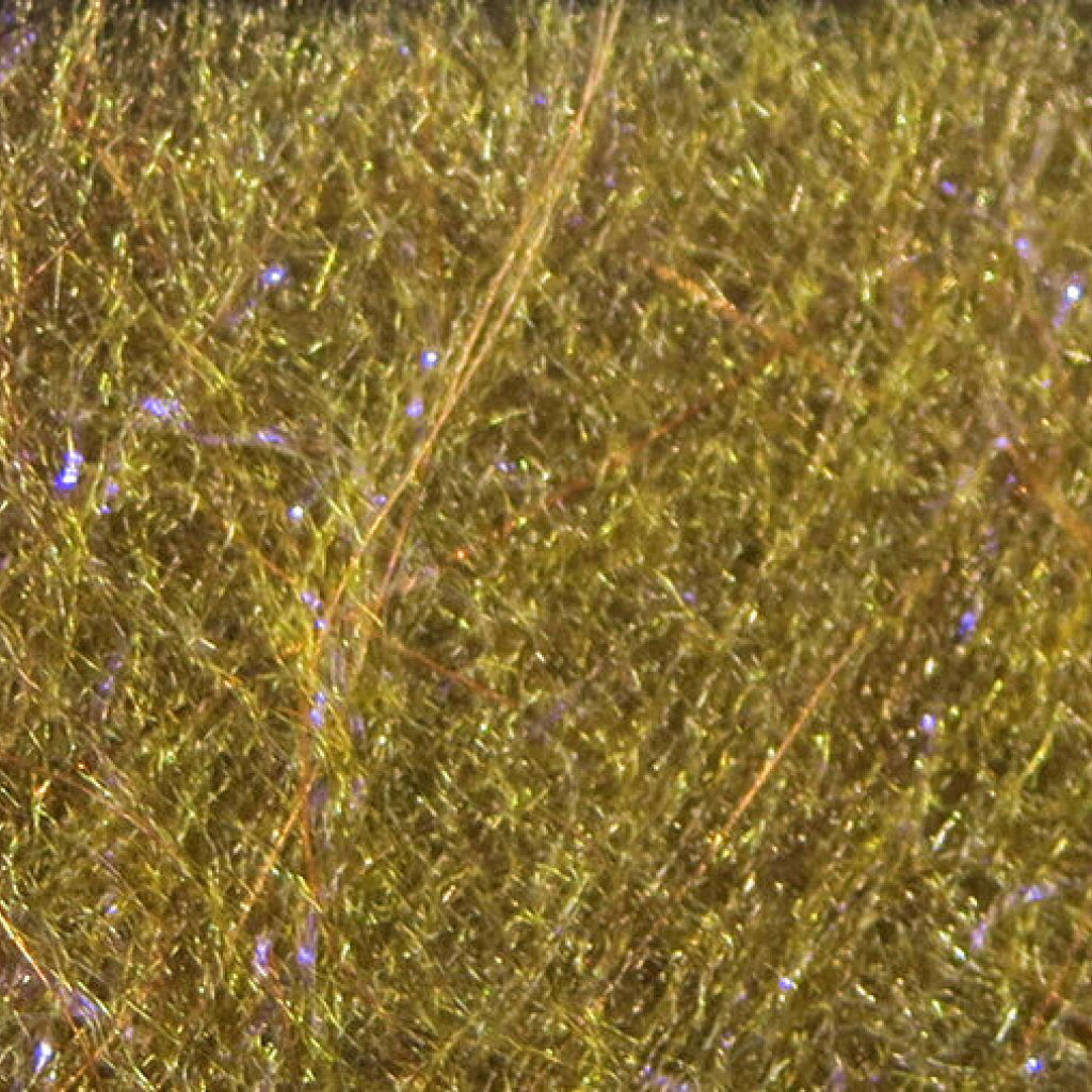 Fly Fish Food&#39;s Bruiser Blend