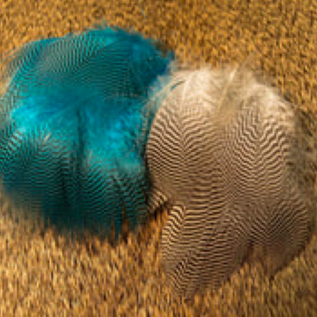 Nature's Spirit Teal Flanks