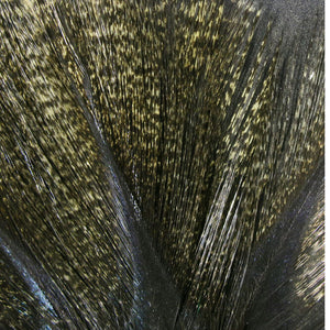 Coq De Leon Tailing Feather