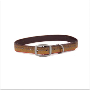 Fishpond Salty Dog Collar