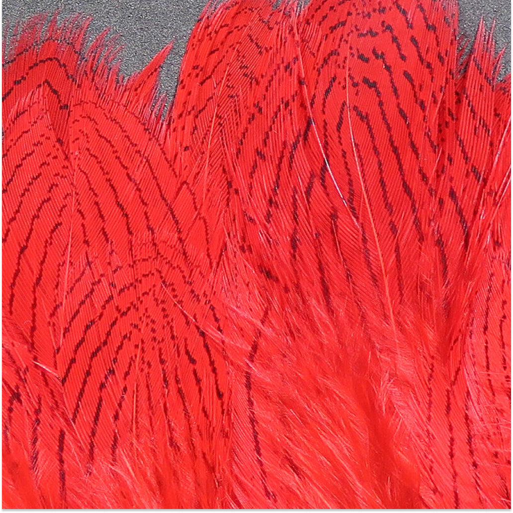 Silver Pheasant Feathers