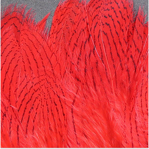 Silver Pheasant Feathers