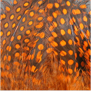 Strung Guinea Feathers