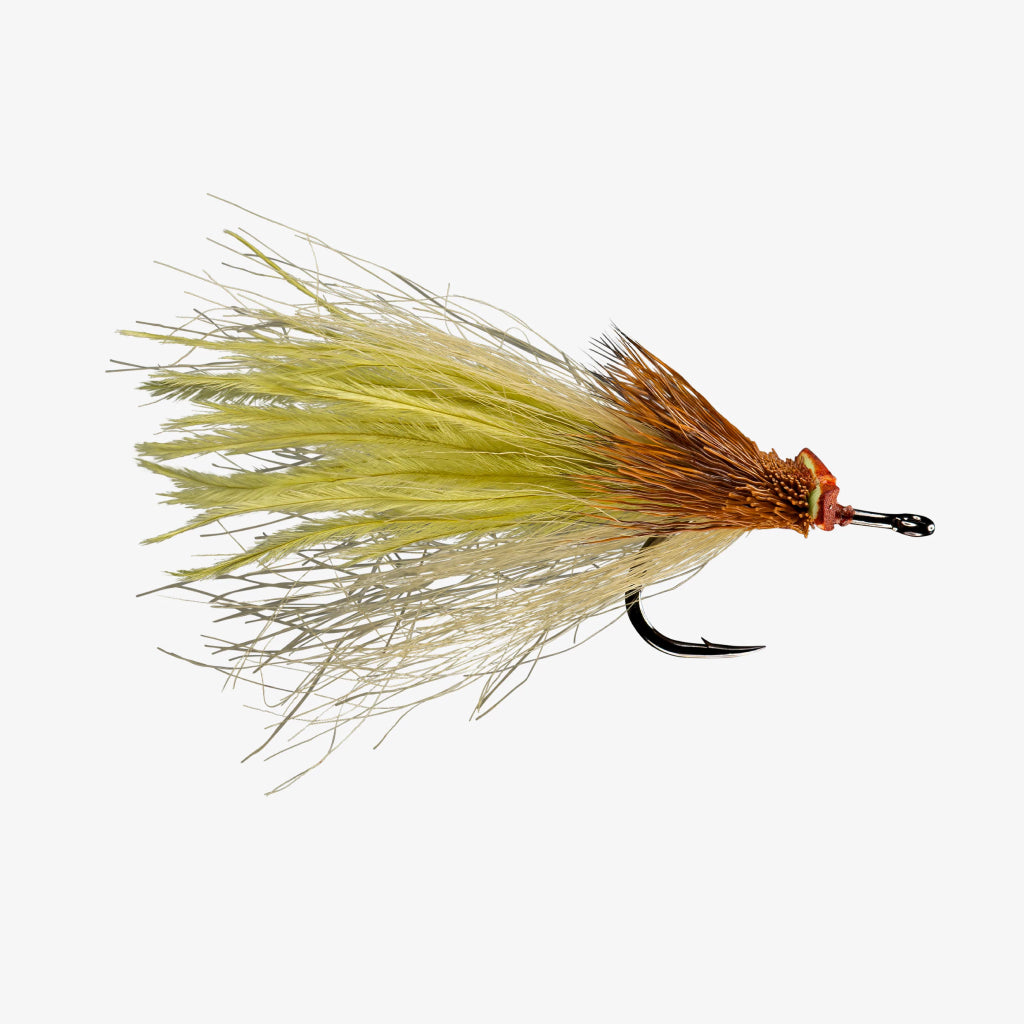 Rio Dread Pirate Fly