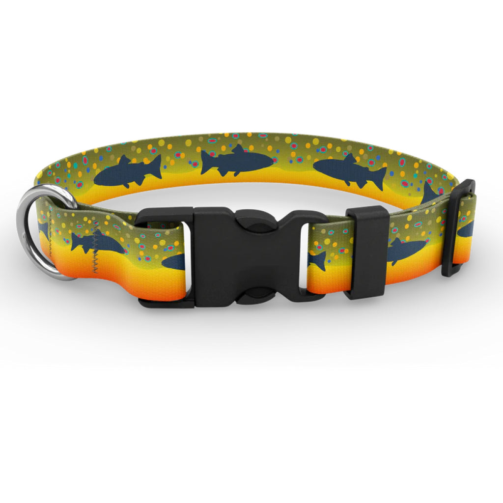 Wingo Dog Collar