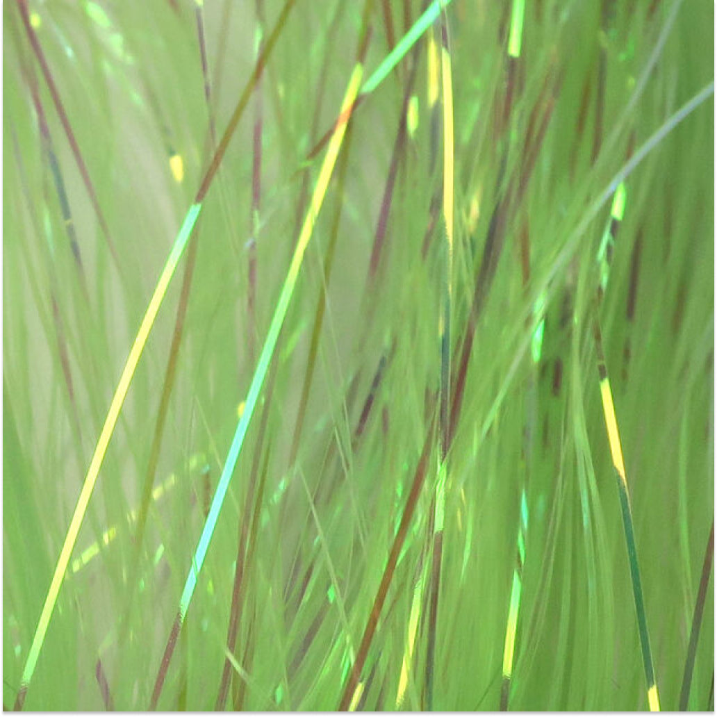 Flashabou Dyed Pearl