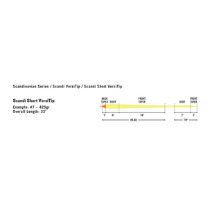 Rio Scandi Short VersiTip Fly Line