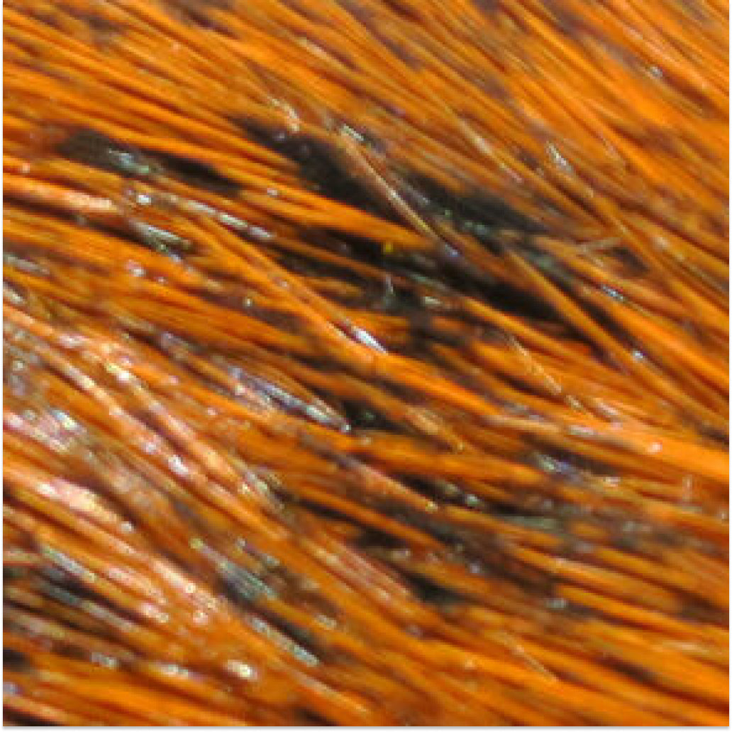 Hare&#39;s Mask Grade #1