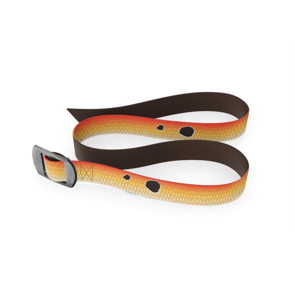 Wingo Basecamp Rev Belt
